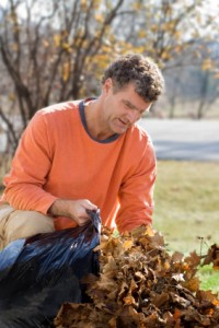 clearing leaves