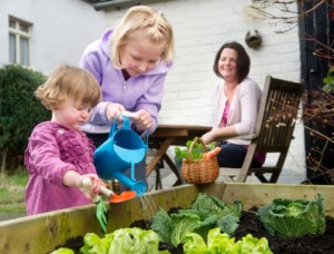 growing your own vegetables