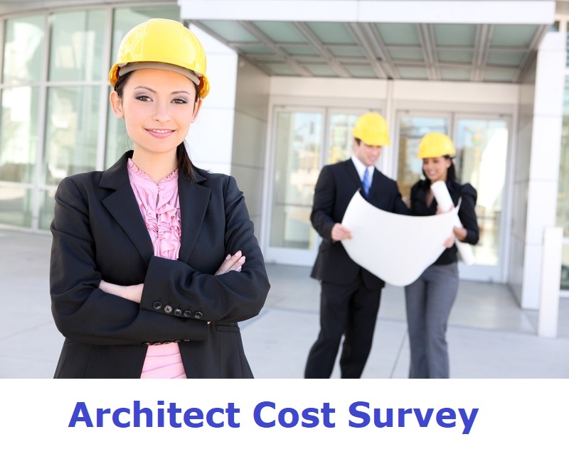 architect cost survey