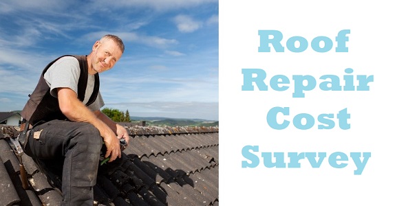 Roof Repair Cost Survey 2021