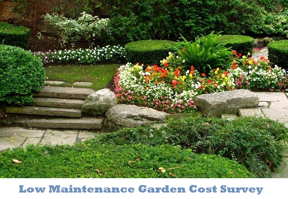 Low maintenance garden price survey