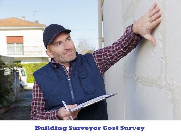 building surveyor cost survey