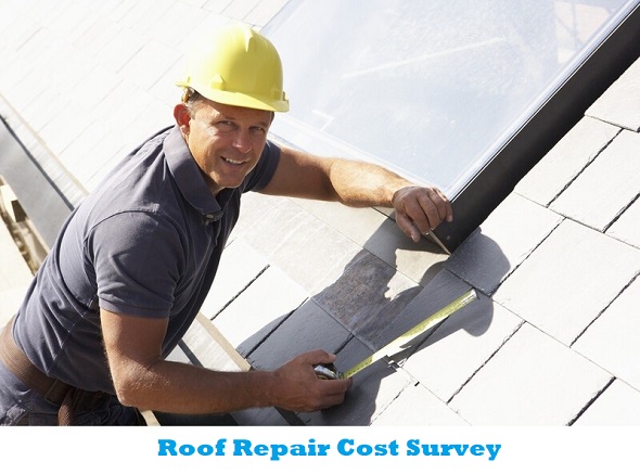 roof-repair-cost-survey-2022