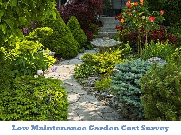 Low maintenance garden cost survey