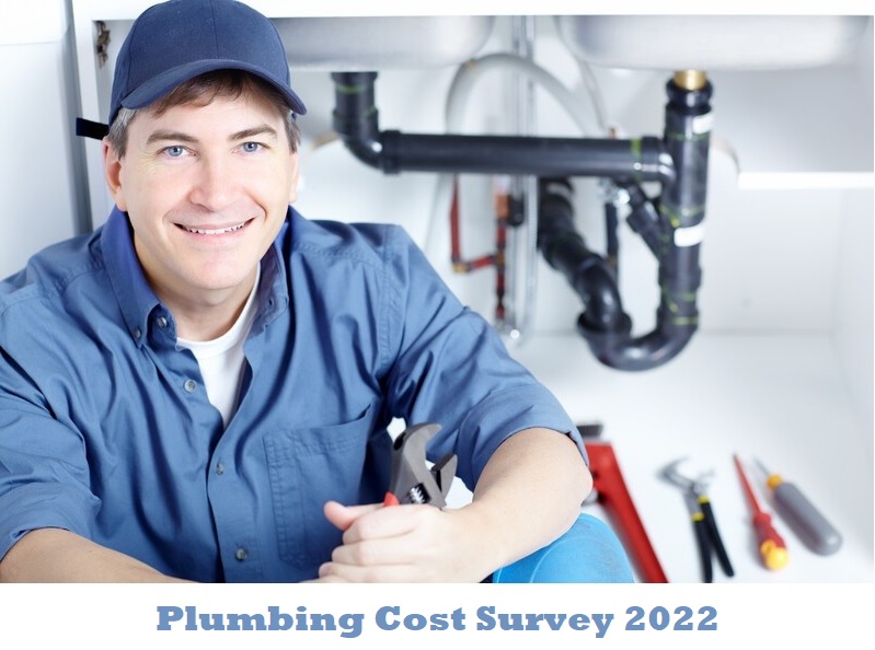 plumbing cost survey 2022