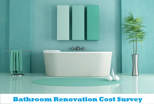 Bathroom Renovation Cost Survey