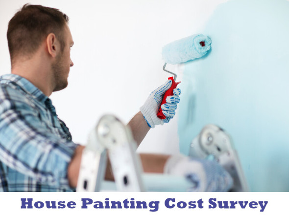 House Painting Cost Survey