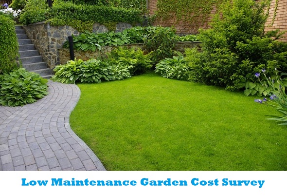 Low Maintenance Garden Cost Survey